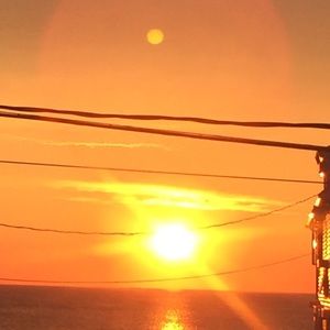 Meet your Posher, Jane